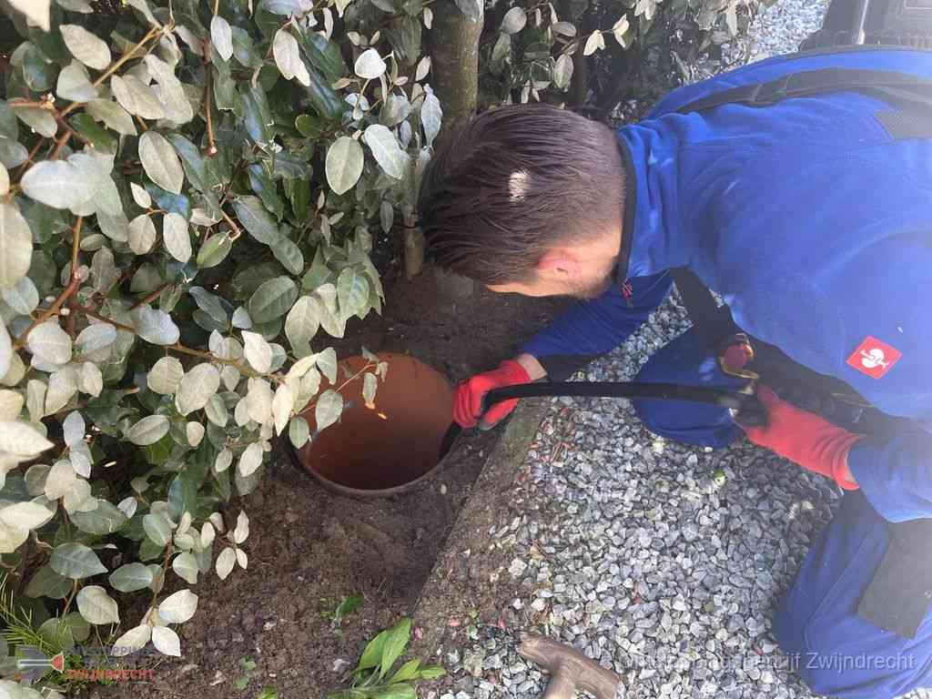 Rioolvliegjes Zwijndrecht Rioolvliegjes Zwijndrecht